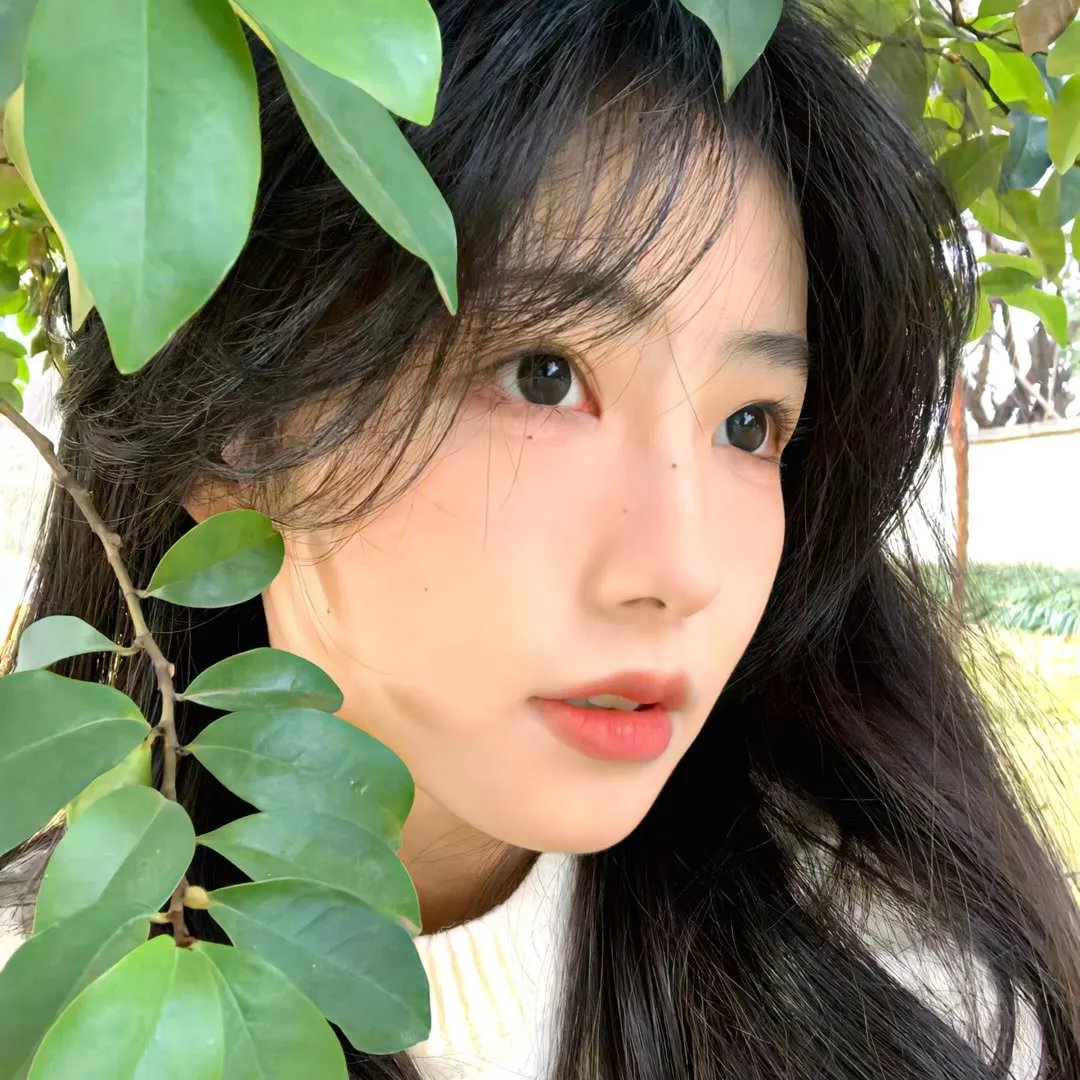 彩虹在我的胸膛